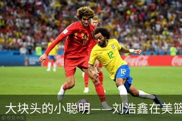 大块头的小聪明——刘浩鑫在美篮的成长故事