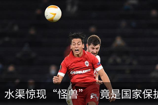 水渠惊现“怪兽”，竟是国家保护动物！